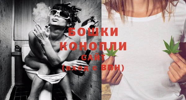 мет Новозыбков