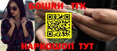 индика Беслан