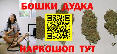 индика Беслан