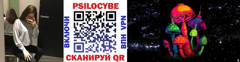 Галлюциногенные грибы Psilocybine cubensis  Советская Гавань 