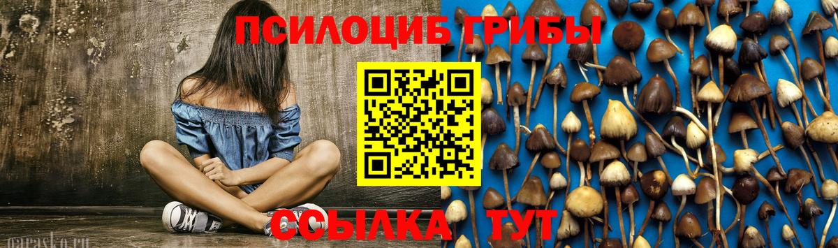 наркотики  Советская Гавань  Галлюциногенные грибы прущие грибы  Псилоцибиновые грибы Psilocybe 