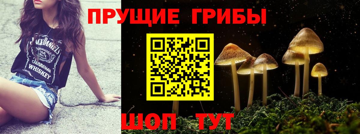 Галлюциногенные грибы Psilocybe Советская Гавань